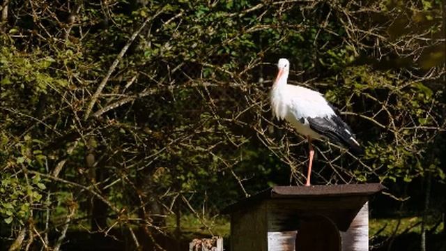 Мама пытается отодвинуть меня от воспитания дочери, а мне это не нравится. Жизненная ситуация. Жизн смотреть онлайн
