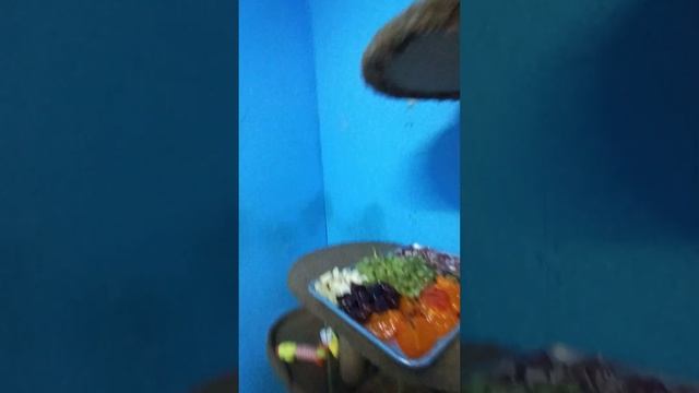 #ямыилюша #помощьбездомнымживотным #raccoon #анапа #море