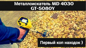 Металлоискатель MD 4030 GT-5080Y первый пробный поиск находок ,топ находка Хуэгардн? Природа