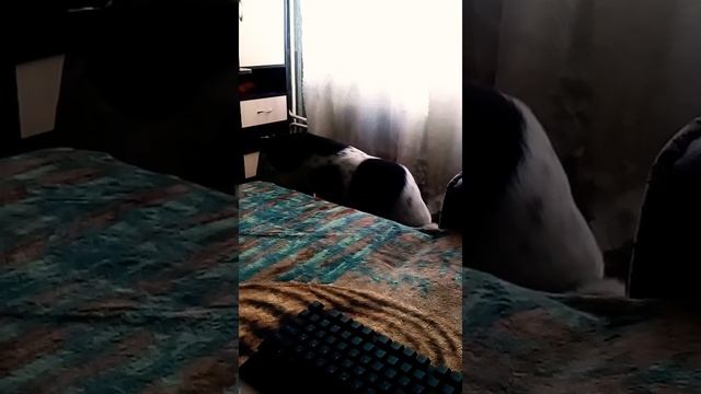 Филька не может въехать что он скалится на канализационные трубы смотреть онлайн