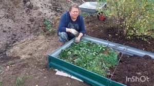 Собираем тёплую грядку/Прогреется ранней весной
