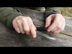 Мельницкий Охота на гуся