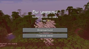 Команда смерти в Майнкрафт