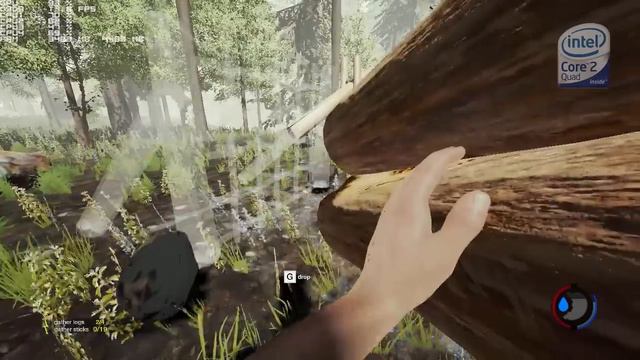 The Forest - on [ Core 2 Quad Q6600 & 9600GT ] смотреть онлайн