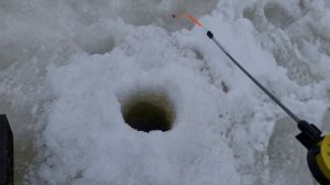 Рыбалка 2022. Подледный лов плотвы.