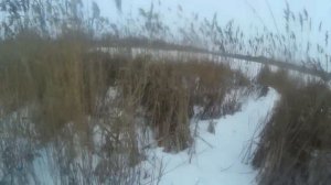песня про охоту