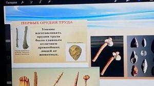 Что такое техносфера?