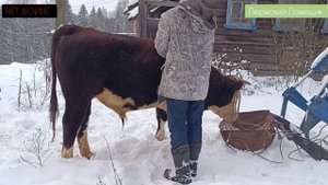 Убрал герифорда. Результаты.