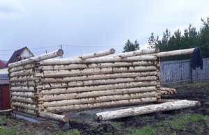 Сруб 4х6 из осины для бани. Монтаж