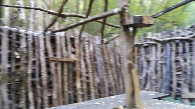 Мамайский лес. Ставрополь . крепость реконструкторов