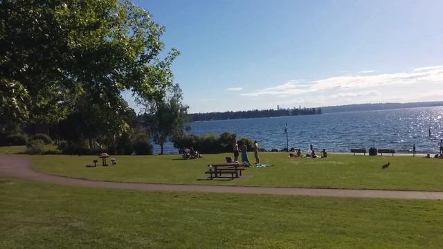 Моя Америка отдых на берегу озера Вашингтон.