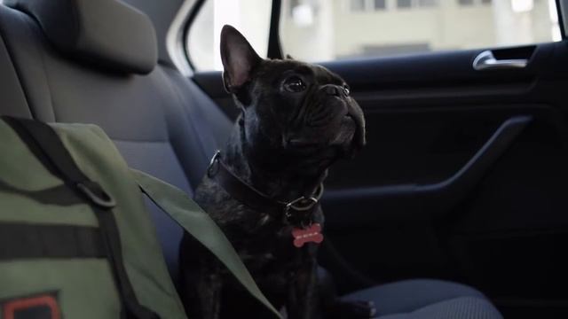 KAMA: Практика на курсе "Filmmaking". Выпускная работа студентов -- рекламный ролик для GUD Bags смотреть онлайн