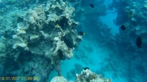 Jaz Fanara Resort & Residence 4*_Sharm El Sheikh_Egypt