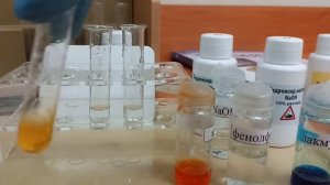 Химия.8 класс.Основания.Опыт щелочь+индикатор