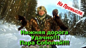 Нижняя дорога Удачно!!! Пара соболей!!! 26 01 24