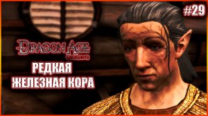 Редкая железная кора. Прохождение Dragon Age: Origins выпуск 29