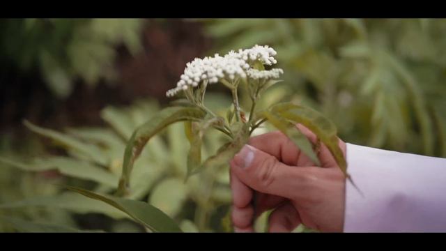 Grigory Esayan - Kasem vay vay | Григорий Есаян - Касем вай вай 2020 смотреть онлайн