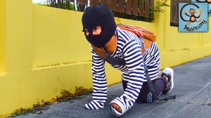 Манкиту Милан и Папа играют в полицию и бассейн.