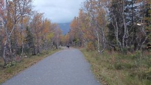 Осень в Мурманской области, город Кировск. 15 сентября 2023.