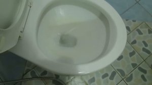 Тайский унитаз с сифонной системой смыва воды