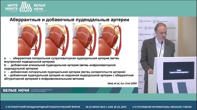 Анатомия и физиология малого таза смотреть онлайн