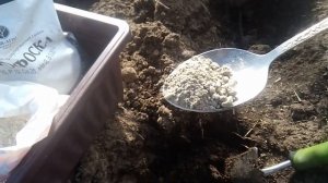 ЧЕМ ЗАПРАВИТЬ ЛУНКИ ДЛЯ ПОСАДКИ ТОМАТОВ ....