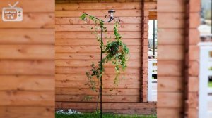 Шпалеры для растений ? Садовый декор от Hitsad