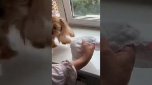 Памперс от меток