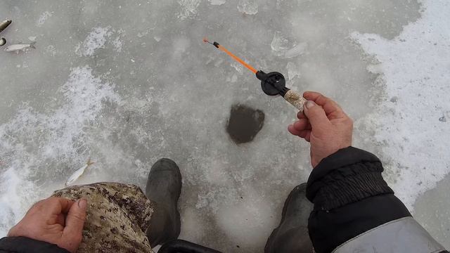 За плотвой на таёжную речку . смотреть онлайн