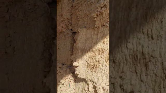 Линт хлопковый 7500 за кг. Объем есть в наличии. смотреть онлайн