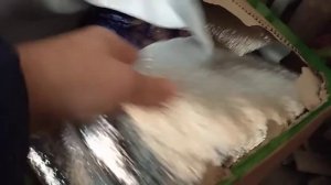 Картофель сорт ИМПАЛА Семенной картофель получил из Кисловодска.