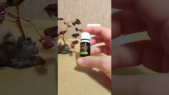 ОБЗОР — МАСЛО ЧАЙНОГО ДЕРЕВА ОТ FABERLIC смотреть онлайн