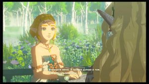 Легенда о Зельде: Слёзы королевства.  6 слеза дракона. Зельда и Сония.