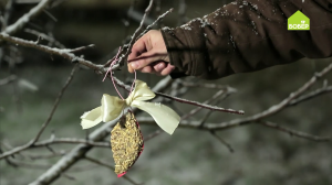 Как сделать кормушку для птиц. Птичий козинак. Подвесная кормушка для птиц из семечек и клея