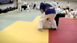 Джиу джитсу Хокуторю HOKUTORYU JUJUTSU Martial arts