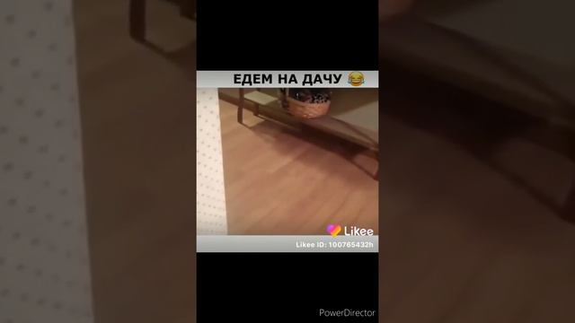 Подборка смешных видео про животных🤣 смотреть онлайн