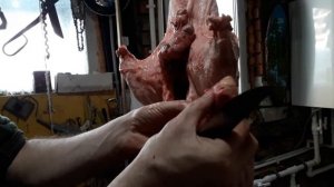 Мясо. Как выглядит сытый бобр ???