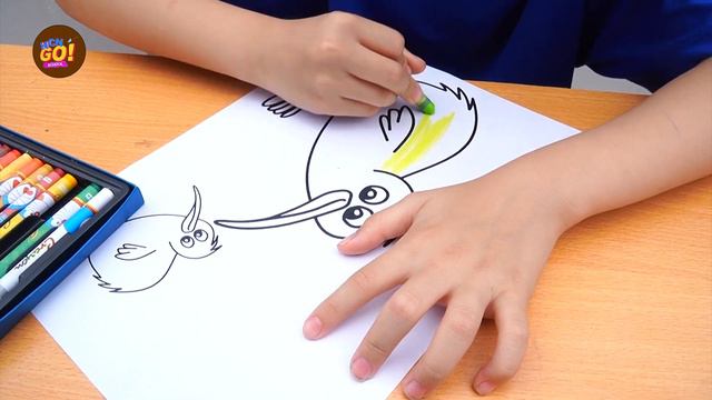 Rainbow Colors Learn Color BABY BIRD ! Kids Go Fishing Drawing and Coloring Kiwi Bird HCN Go School