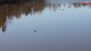 протока Савкинский Посол