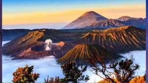 §57 "Регионы Азии: Южная и Юго-Восточная Азия", География 7 класс ч.2, Домогацких