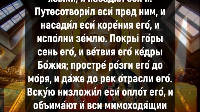 ПОСЛУШАЙ 1 РАЗ – ЭТО КОСНЁТСЯ КАЖДОГО. Вечерние молитвы слушать онлайн. Вечернее правило смотреть онлайн