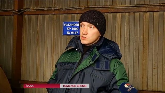 Головы крупного рогатого скота обнаружены неподалеку от технологической дороги на ТЭЦ-3 смотреть онлайн