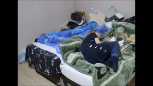 Когда кот лежит на кровати, а ты хочешь спать