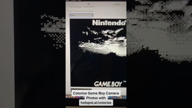 Colorize Game Boy Camera photos with hotspot.ai/colorize