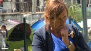 Kerry Blue Terrier: dog shows in Sokolniki /Керри блю терьер: выставки в Сокольниках