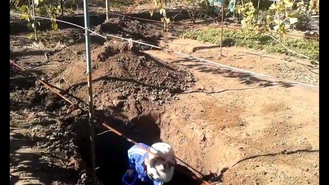Размер посадочной ямы для винограда. смотреть онлайн