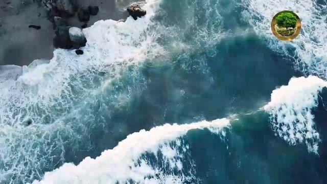 Расслабляющая Фортепианная Музыка и Пение Птиц | Приятная Музыка Для Сна смотреть онлайн