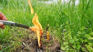 Мощная #чистка от всего колдовского с обраткой вражинам ?? #защита ?️#непрогляд✨