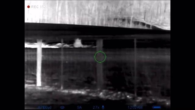 Trail 2 xp50 lrf putting in work, out of breath after quick setup смотреть онлайн