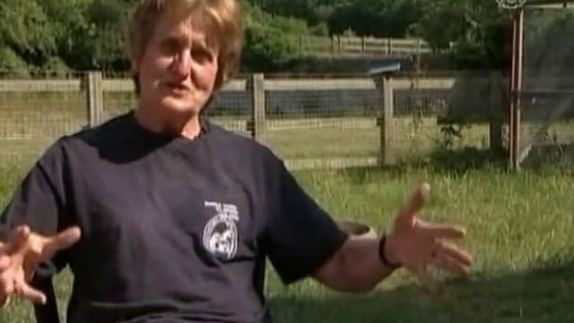 Гигантский кролик проедает бюджет своих хозяев (новости) смотреть онлайн